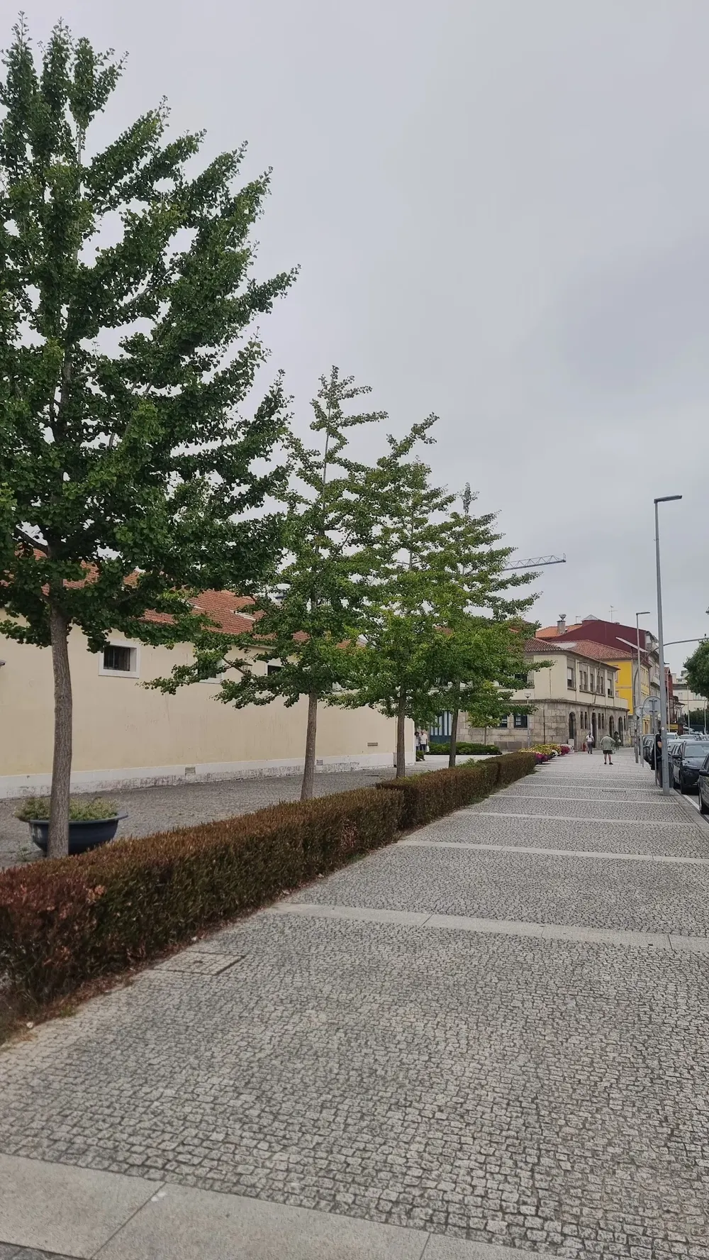 Conservatória do Registo Civil de Viana do Castelo