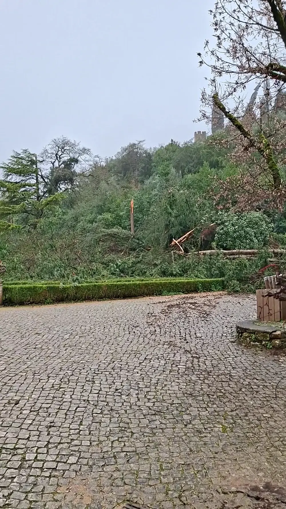 Monumento em homenagem ao Infante Dom Henrique - 2